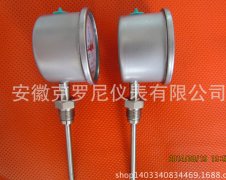 供应WSS系列双金属温度计WSS-311 表壳304磨砂工艺 耐震 不锈钢