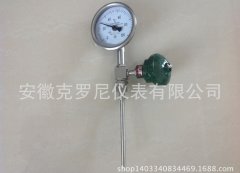 WSS系列热电偶（阻）、温变送器远传双金属温度计 WTYY-1021